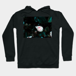 Rose in the Dark - macro photography Hoodie